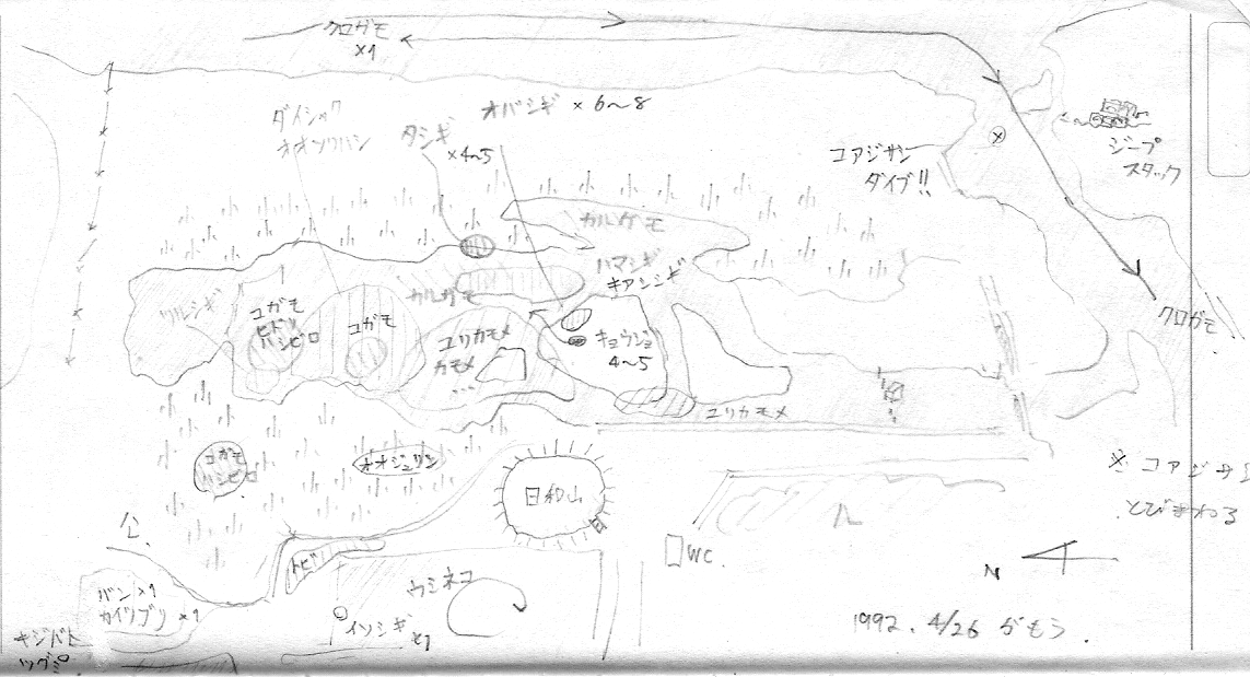 蒲生干潟野鳥分布