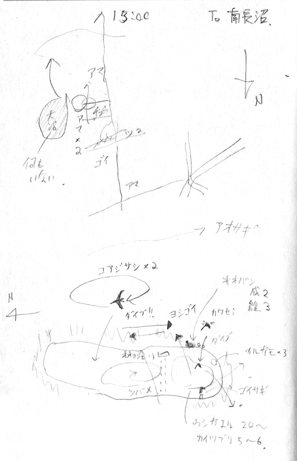 南長沼野鳥分布