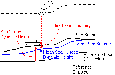 平均海面の力学的海面高度