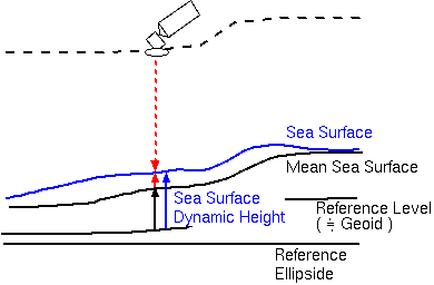 力学的海面高度の測定